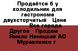 Продаётся б/у холодильник для гастронома двухсторчатый › Цена ­ 30 000 - Все города Другое » Продам   . Ямало-Ненецкий АО,Муравленко г.